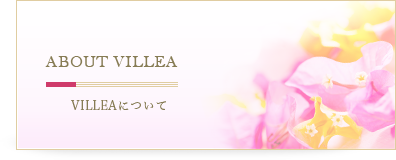 ABOUT VILLEAVILLEAについて