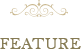 FEATURE